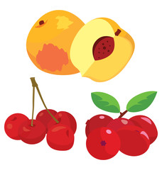 cranberry, cherry, peach - healthy fruit