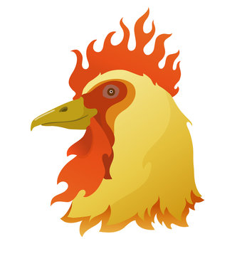 flamy rooster, color vector illustration, symbol of 2017