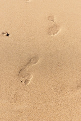 Fototapeta na wymiar Footprints on sand beach texture background travel concept