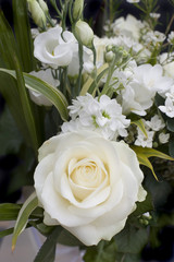 Pretty fresh white rose in a bouquet