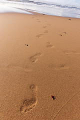 Fototapeta na wymiar Footprints on sand beach texture background travel concept