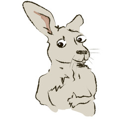 kangaroo