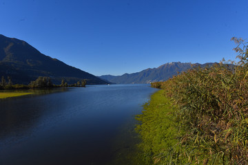 fiume che scorre nella palude in autunno