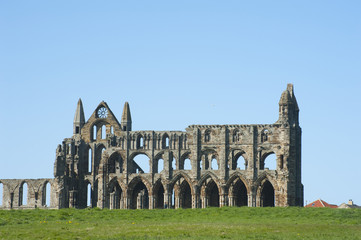 Fototapeta premium Ruins of Whitby Abbey