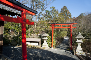 Ryoan-ji Torii