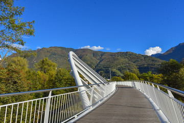 Obraz premium Passerella pedonale nel bosco