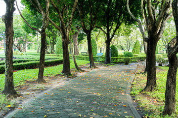 health walk in the park