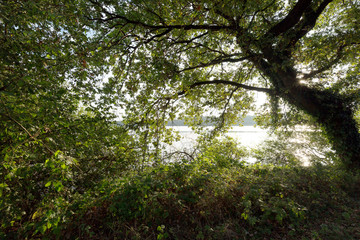 Fototapeta premium Awesome View to Lake Krickenbeck