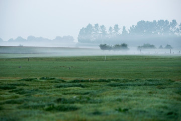 Naklejka na ściany i meble Morning mist over dutch rural landscape. Geesteren. Gelderland.