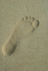 Human footprint on sand