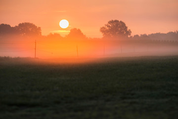 Rising morning sun over misty rural landscape. Geesteren. Gelder