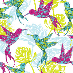 Hand draw tropical background with colibri bird