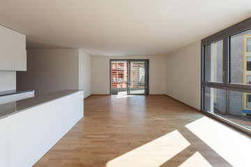 Interior, domestic kitchen