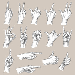 Sketch of hand gestures.