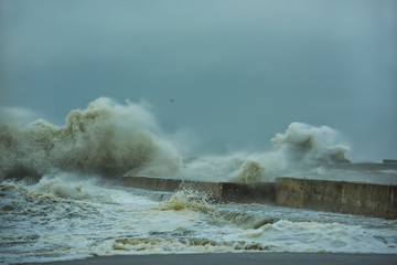 very strong wind and storm at sea, the ocean, tremendous waves and dashing spray on concrete piers. Low heavy gray sky. Not contrast grayscale image. Strength buschuyuschey elements.
