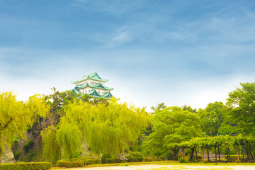 Fototapeta premium Nagoya Castle Clear Blue Day Sky Above Trees H