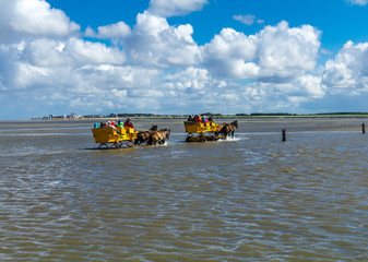 Wattwagenfahrt an der Nordsee
