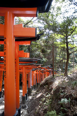 shinto temple torii