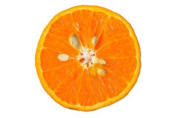 Orange shogun cut in half on a white background.