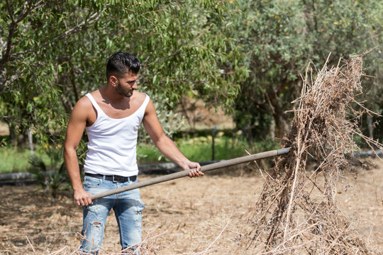 Le sterpaglie del contadino