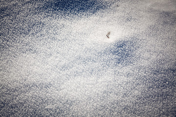  Christmas background with snowy fir trees