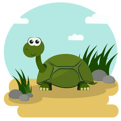 Cartoon turtle smiling stroll among the green grass. Vector illustration with colorful background.