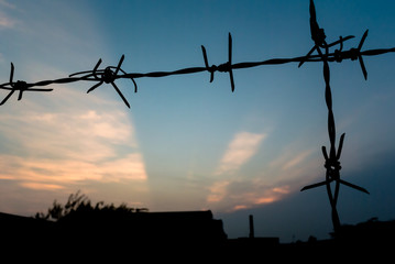 Barbed Wire