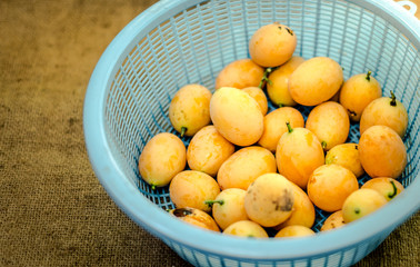 Marian plum in basket