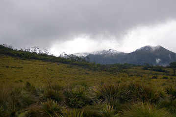 Southwest National Park Landscape