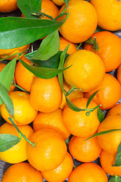 Tangerines with green leaves on the table closeup