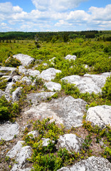 Bear Rocks Preserve