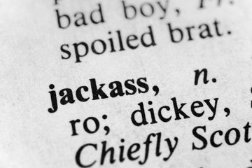 Obraz premium Jackass