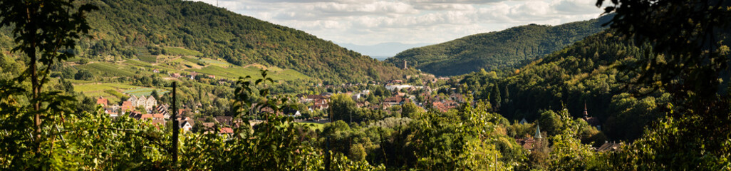 Fototapeta na wymiar Kaysersberg, son nouveau lotissement, son chateau, sa vallée, son vignoble