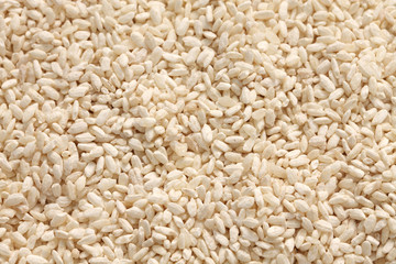 malted rice, japanese fermentation food