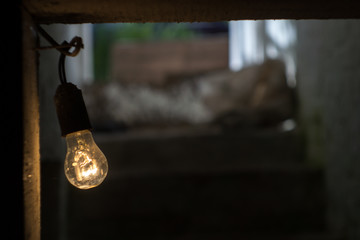 The bulb in the basement