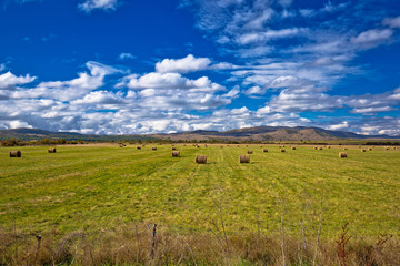 Fototapeta premium Rural agricultural landscape in Lika region