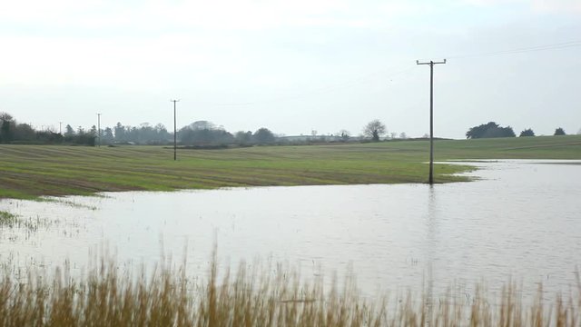 Flooded field after big rain storm