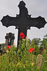 Klatschmohn auf einem alten Friedhof in Litauen