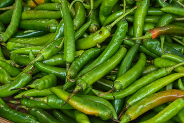 asian vegetable