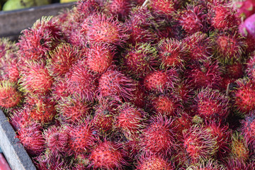 Fototapeta premium fruits