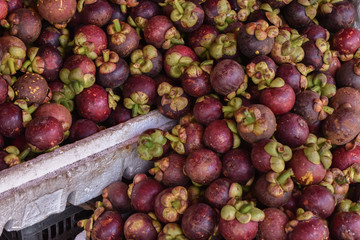 fruits
