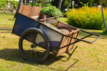 Fototapeta premium flowers