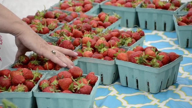 Buying strawberries from farmer's market, money is exchanged.
