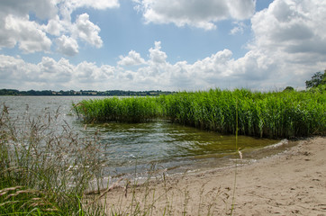 Ulsnis am Strand im Sommer.