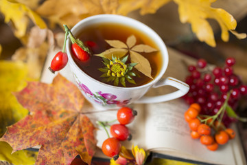 autumn still life with a cup of tea