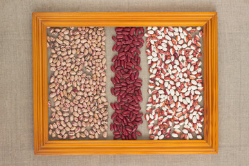 Beans of different colors in the portrait frame. Top view.