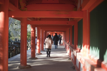 Kasuga-taisha walkway