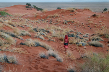  namibian desert