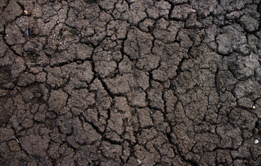 Текстура. Растрескавшаяся земля.