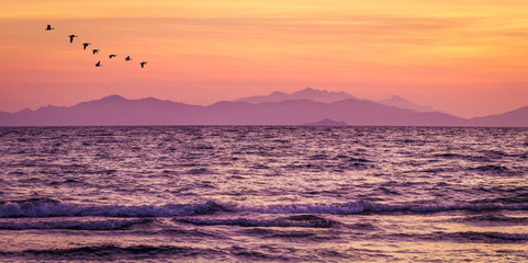 Purple sea after sunset at the beach of Follonica in Tuscany